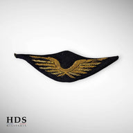 Insigne de casquette aviation France 40 ww2
