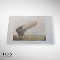 Lot photos cartes postales Artillerie ww1