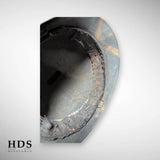 Coque casque Adrian m15 Chasseur BCP BCA ww1