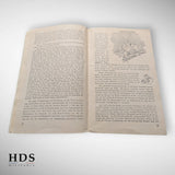 Livret de recrutement LuftWaffe allemand ww2