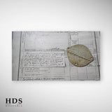 Plaque d'identité ww1 149 & 109 RI Zouave