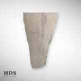 Culotte modèle 1915 troupes coloniales
