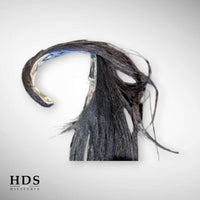 Crinière casque de Dragon