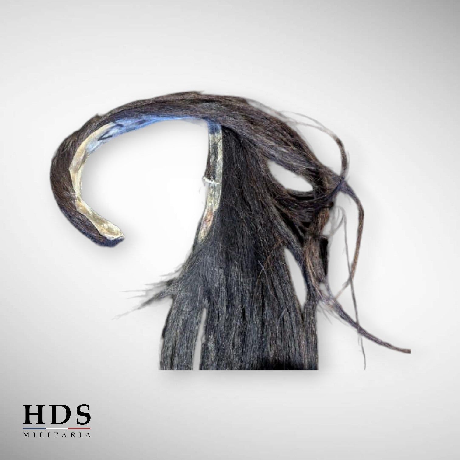 Crinière casque de Dragon