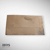 Lunettes Polaroid à densité variable USAAF ww2