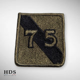 Patch US Vietnam 75di