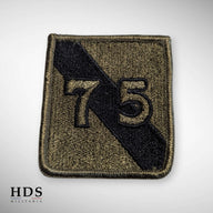 Patch US Vietnam 75di