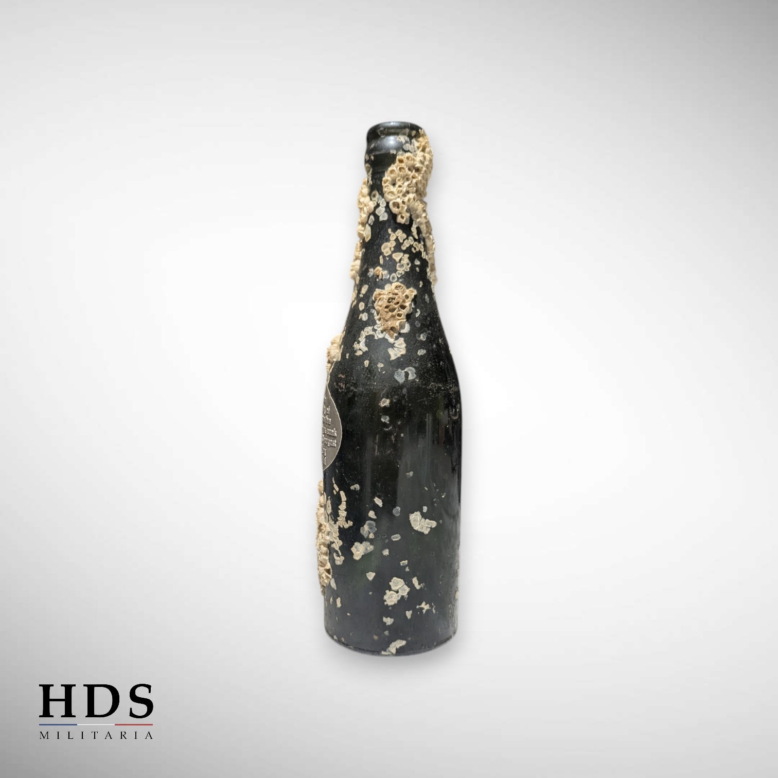 Bouteille épave navire anglais Harpagus Normandie ww2