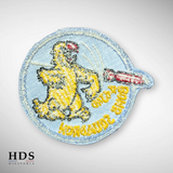 Patch US 443rd air expeditionary squadron