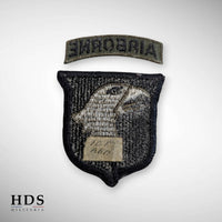 Patch US Vietnam 101st Airborne