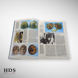 Militaria magazine #38