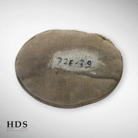 Gourde US ww2 complète