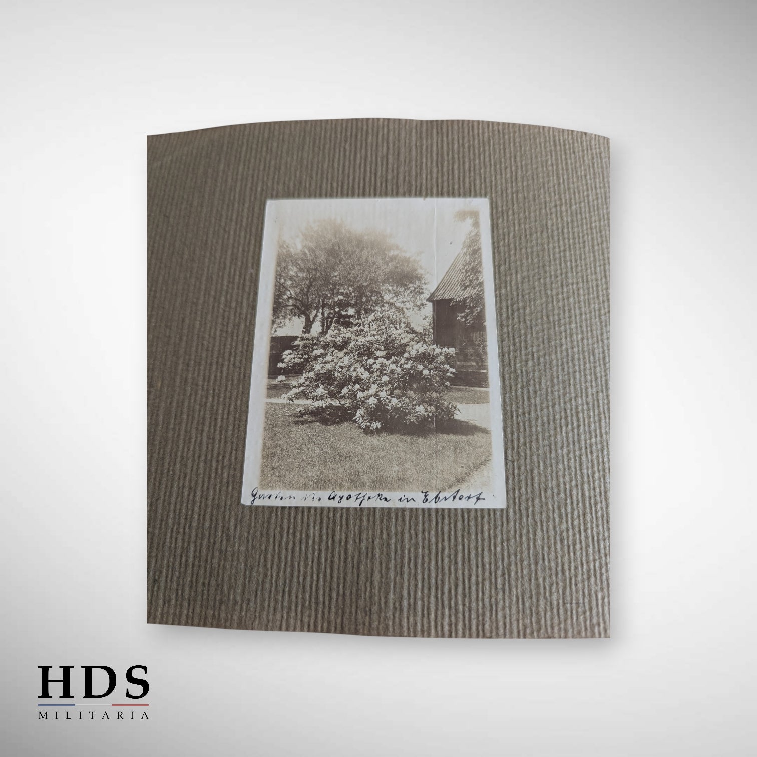 Album photos allemand ww2 avis de décès militaire