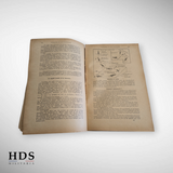 Livre toute l'aviation 1930 ww2